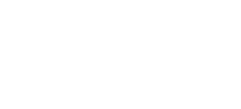 nz custom shade logo white